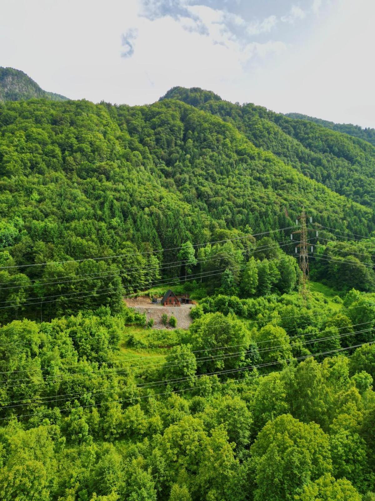 Wild Cabin Malaia Bagian luar foto